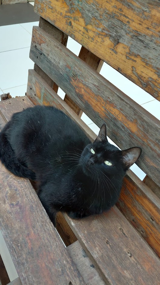 Foto de Fabricia